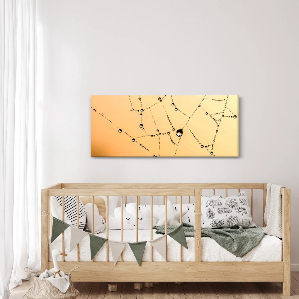 Obraz orosenej pavučiny (120x50 cm)
