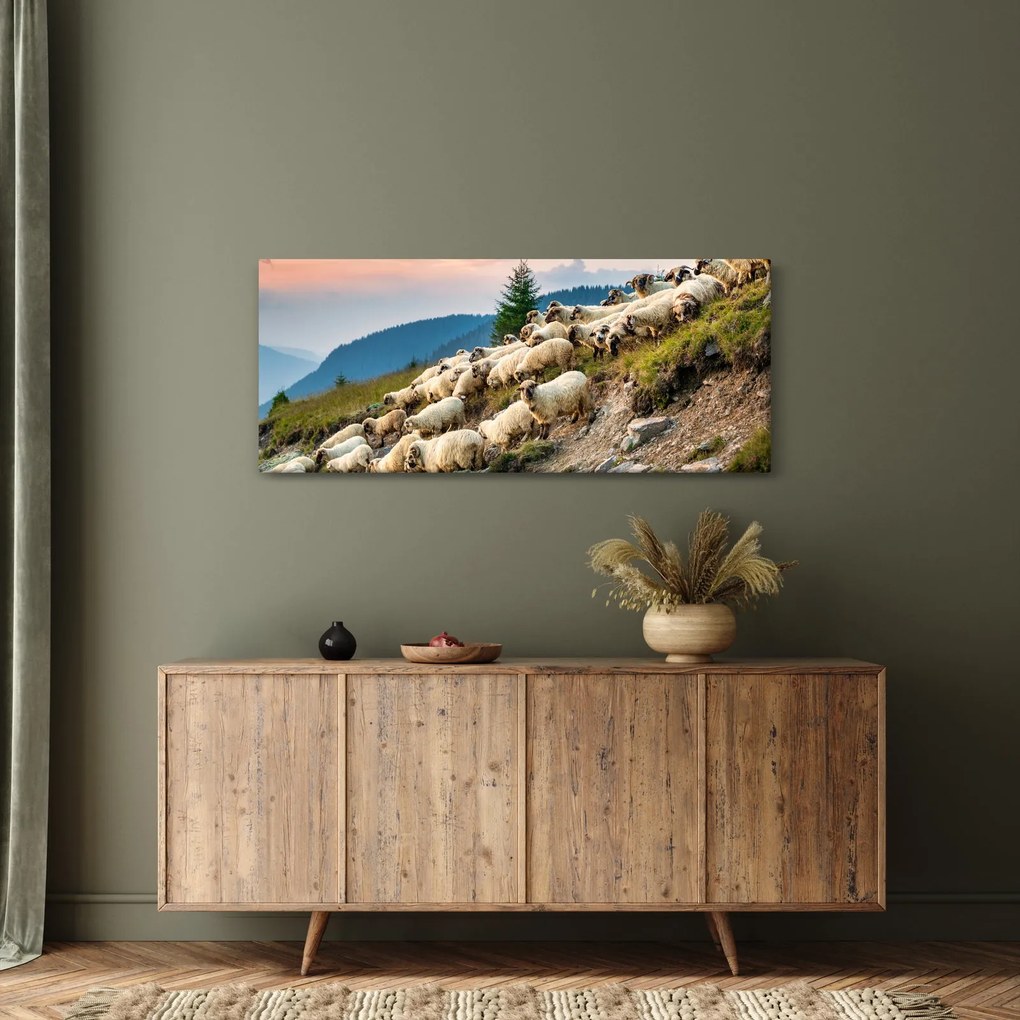 Obraz - Stádo oviec (120x50 cm)