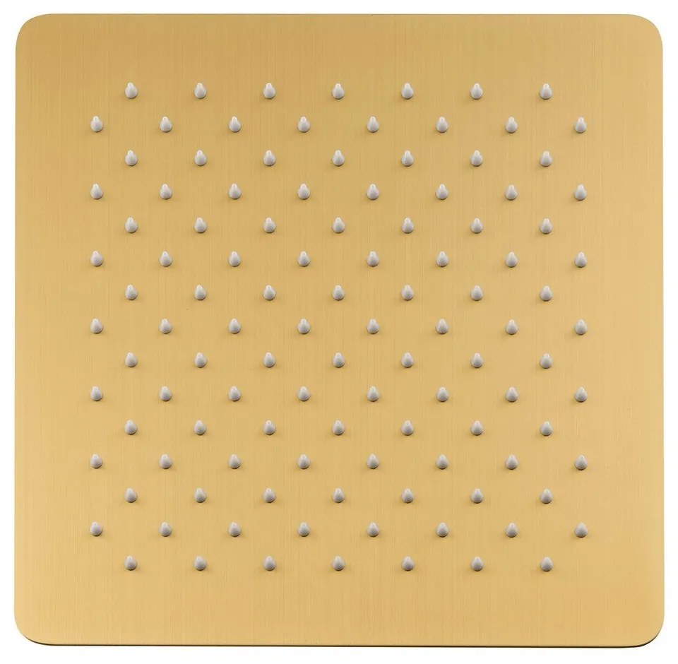 Hlavová sprcha z nehrdzavejúcej ocele v zlatej farbe Slim – Sapho