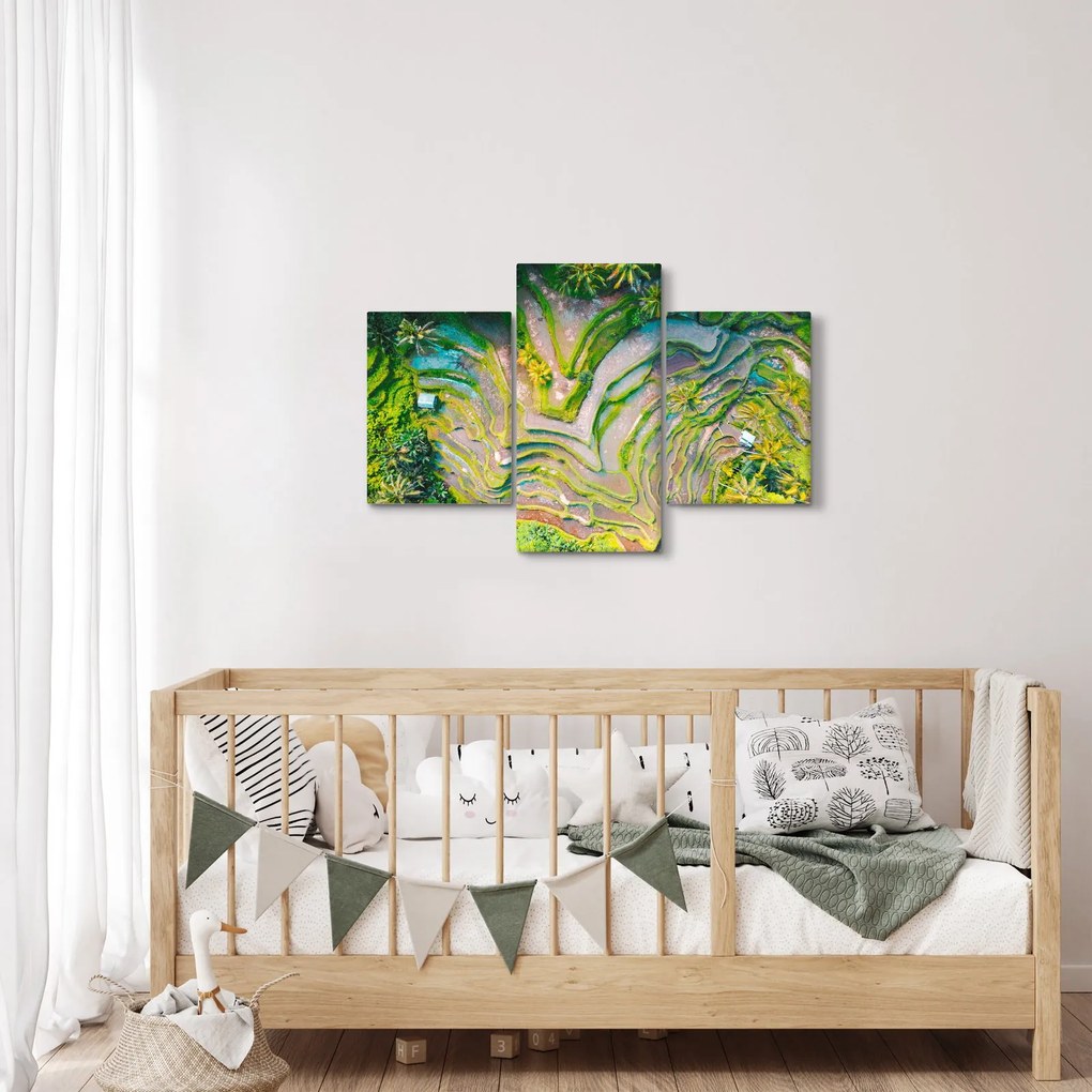 Obraz ryžových polí z vtáčej perspektívy (90x60 cm)