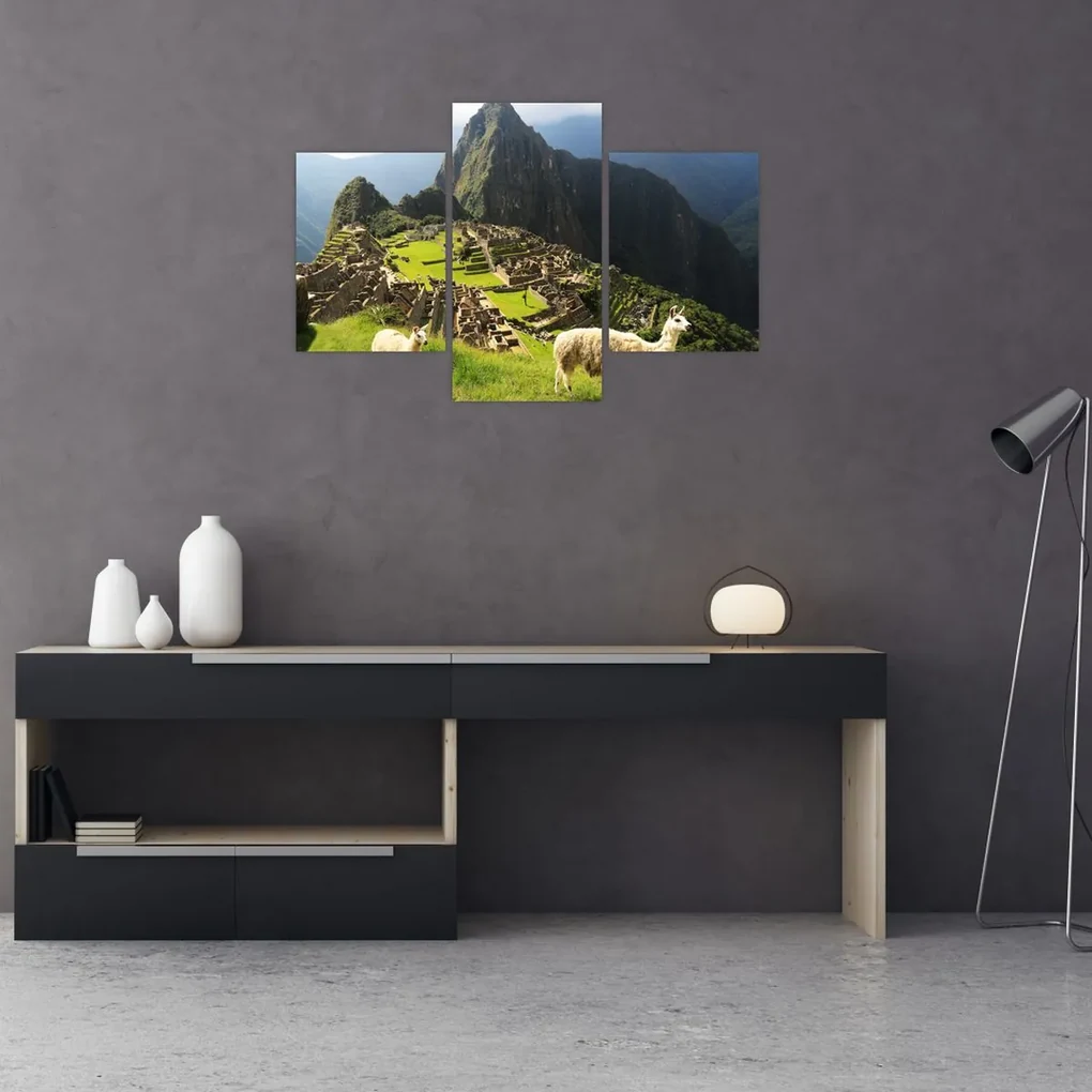 Obraz - Machu Picchu (90x60 cm)
