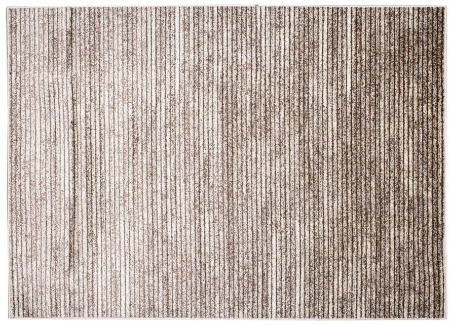 Moderný koberec v hnedých odtieňoch s tenkými pruhmi Šírka: 80 cm | Dĺžka: 150 cm