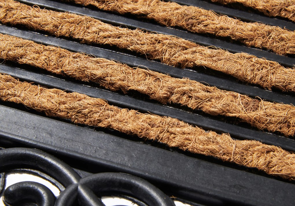 Hanse Home, AKCIA: 45x75 cm Rohožka Panama 105936 - na von aj na doma, hnedá, chodba / predsieň