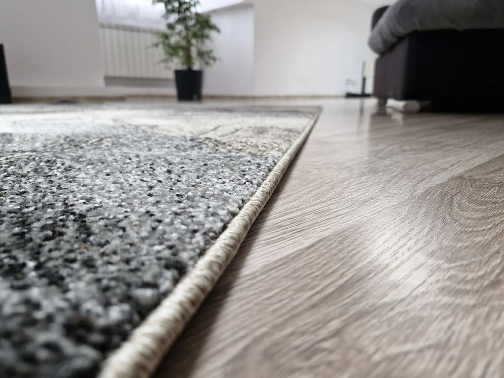 Dekorstudio Moderný koberec do obývačky VILLA - vzor 56 Rozmer koberca: 160x220cm