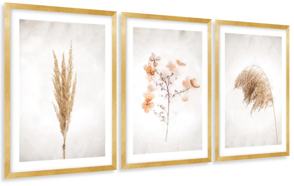 Gario Sada plagátov Dry nature - 3 dielna Farba rámu: Zlatá, Veľkosť: 135 x 63 cm