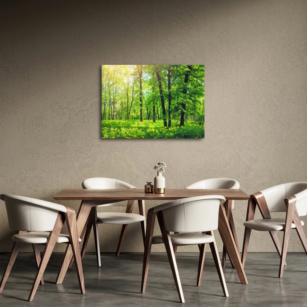 Obraz - Jarný listnatý les (70x50 cm)