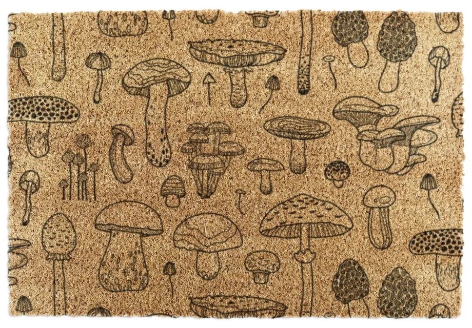 Rohožka z kokosového vlákna 40x60 cm Mushrooms – Artsy Doormats