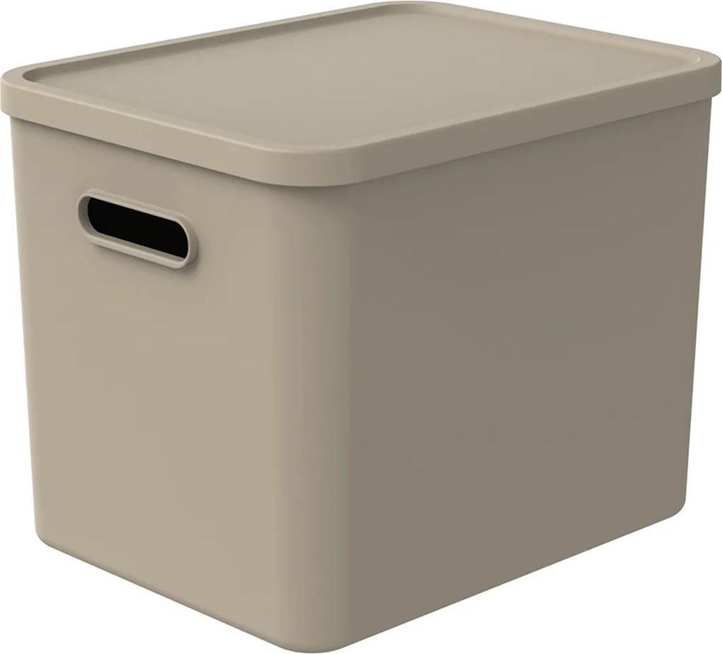 Rotho Úložný box, rovný s vekom, 27l, béžová ALBU LIGHT, 37x29x30