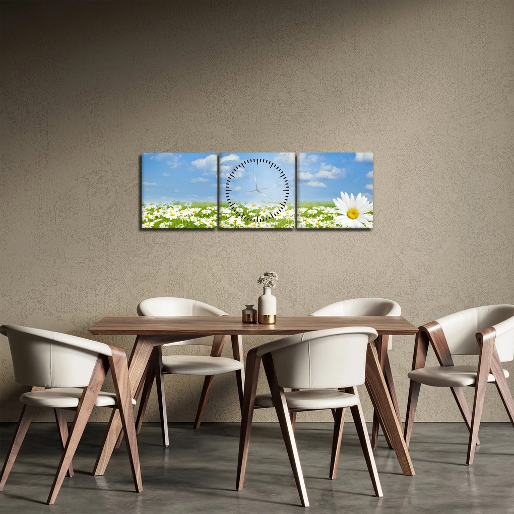 Obraz rozkvitnutej lúky s margarétkami (s hodinami) (90x30 cm)