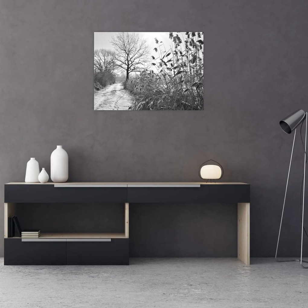 Sklenený obraz - Pole v zime (70x50 cm)