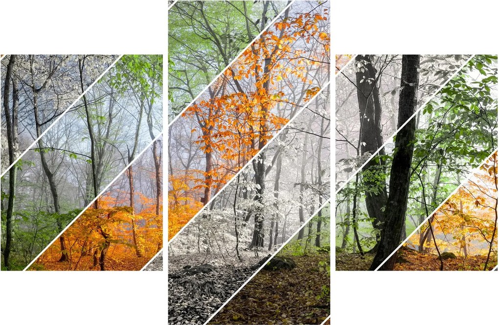 Obraz - Striedanie ročných období (90x60 cm)