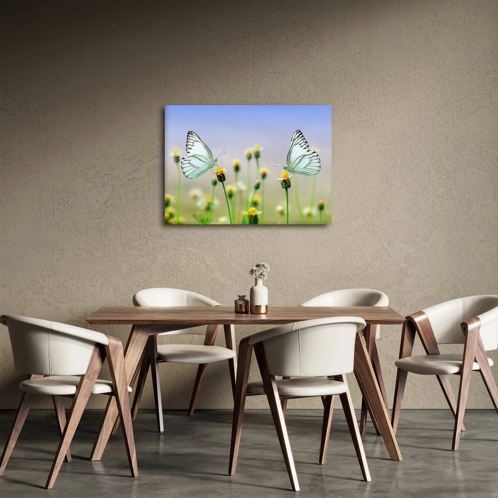 Obraz motýľov na kvetine (70x50 cm)