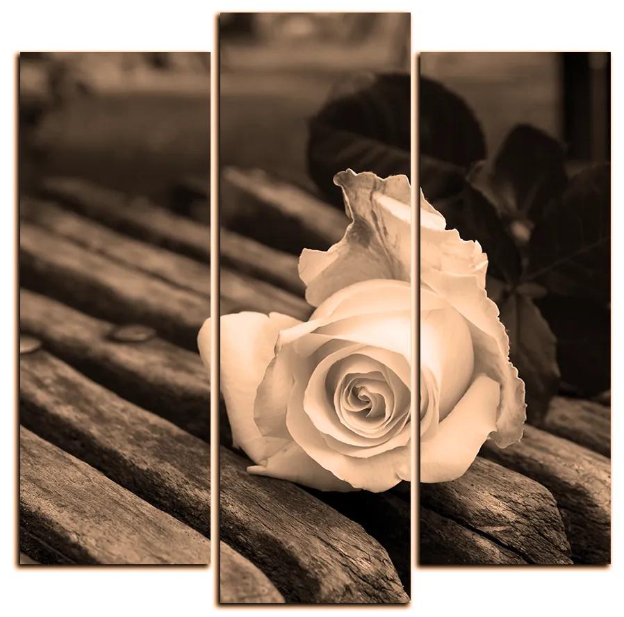 Obraz na plátne - Biela ruža na lavici - štvorec 3224FC (75x75 cm)