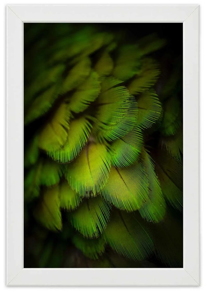 Gario Plagát Abstrakt zo zeleného peria Farba rámu: Čierna, Rozmery: 70 x 100 cm