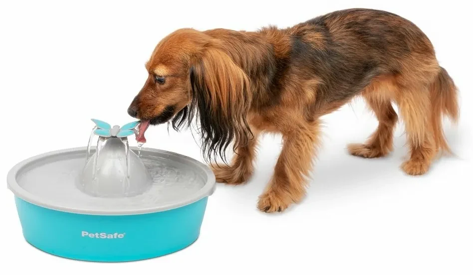 PetSafe® Butterfly Fontánka 1,5 l