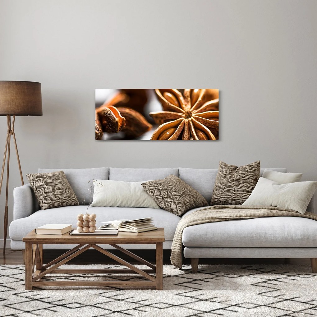 Obraz - Aníz (120x50 cm)