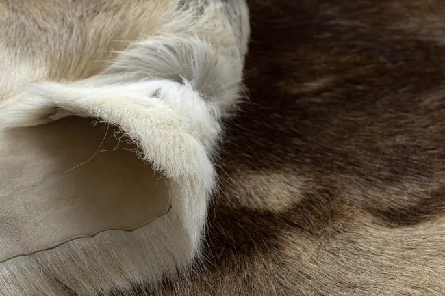 Koberec RENIFER POK016 hnedý / béžový