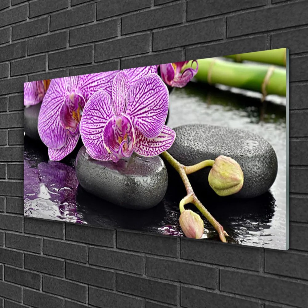 Skleneny obraz Kamene zen orchidea kúpele 100x50 cm