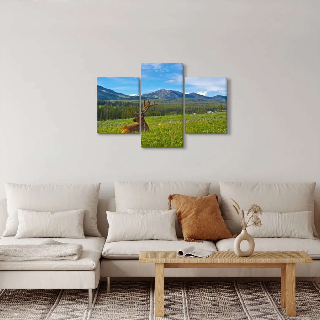 Obraz - Jeleň v lúke (90x60 cm)