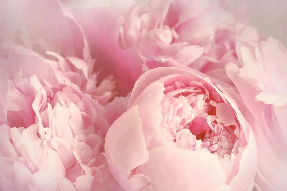 Tapeta ružové čaro kvetov