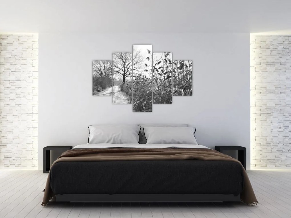 Obraz - Pole v zime (150x105 cm)