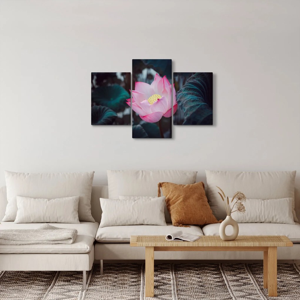 Obraz ružovej kvetiny (90x60 cm)