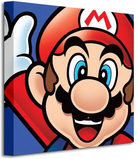 Obraz na plátne Nintendo Super Mario (Mario) 40x40cm WDC95441
