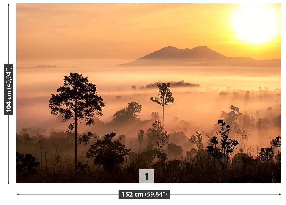 Fototapeta Vliesová Savana 104x70 cm