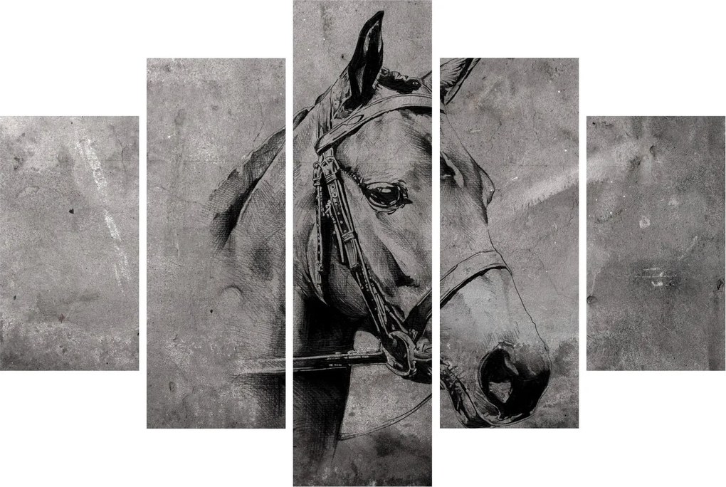 Obraz - Portrét koňa (150x105 cm)