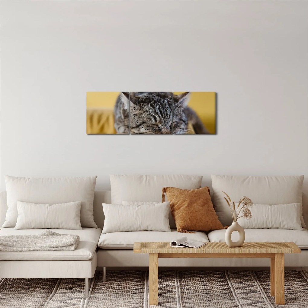 Obraz mačky na pohovke (s hodinami) (90x30 cm)