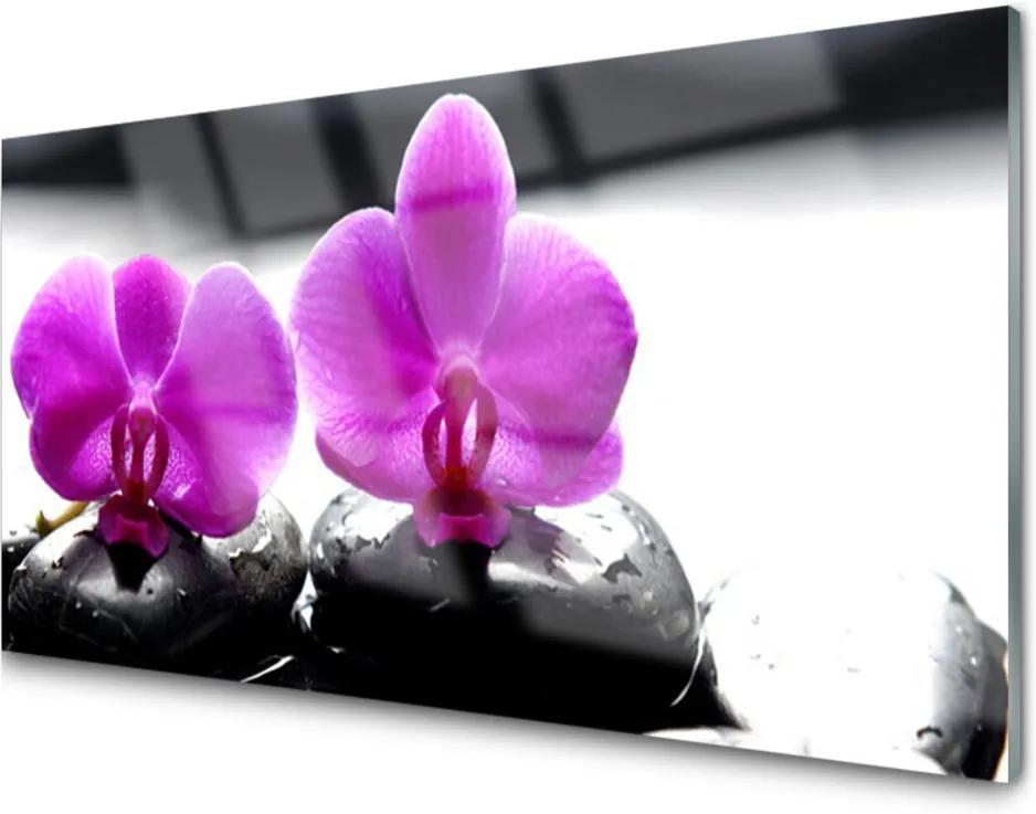 Obraz plexi Kvety Kamene Zen Kúpele