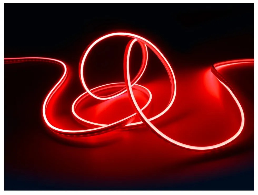 Biely LED pásik 300 cm Neon – Reality