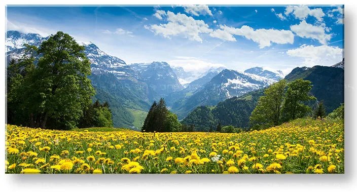 Obraz na stenu PANORÁMA KRAJINA | rôzne rozmery