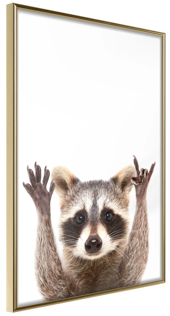 Artgeist Plagát - Raccoon [Poster] Veľkosť: 20x30, Verzia: Zlatý rám