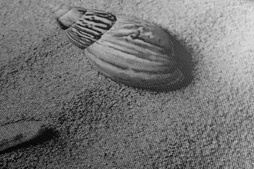 Obraz mušle na piesočnatej pláži v čiernobielom prevedení
