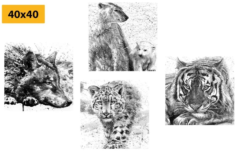 Set obrazov zvieratá v čiernobielom akvarelovom prevedení
