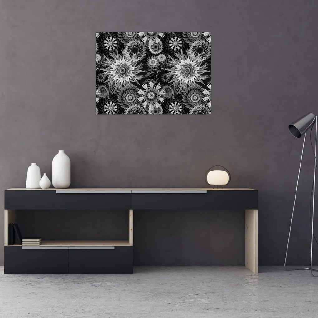 Sklenený obraz - Čiernobiele bodliaky (70x50 cm)