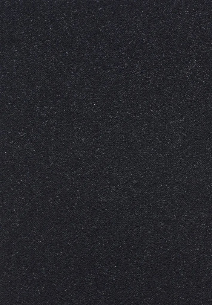 Lano, AKCIA: 80x150 cm Kusový koberec Nano Smart 800 čierny, čierna, chodba / predsieň