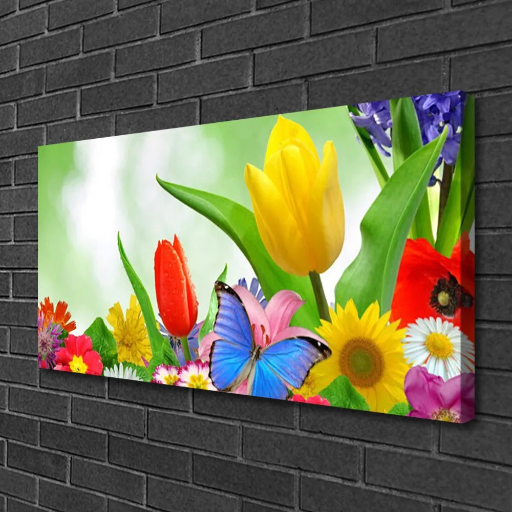 Obraz Canvas Motýľ kvety príroda 100x50 cm
