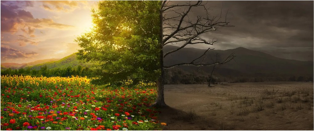 Obraz - Kolobeh života (120x50 cm)