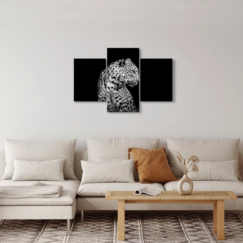 Obraz - Leopard (90x60 cm)