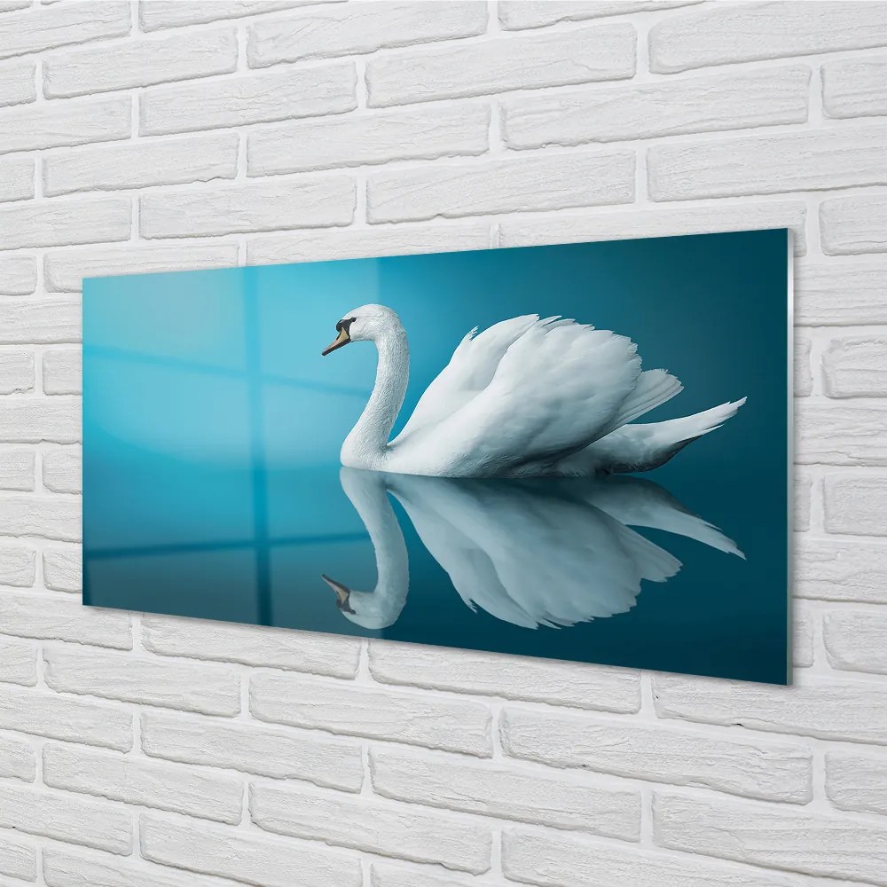 Nástenný panel  Swan vo vode 125x50 cm
