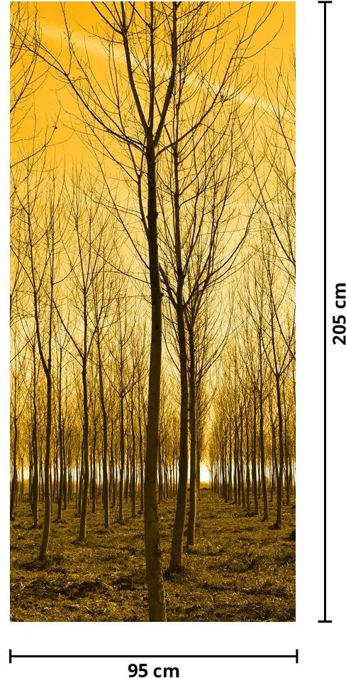 Fototapeta na dvere - Les pri západe slnka (95x205cm)