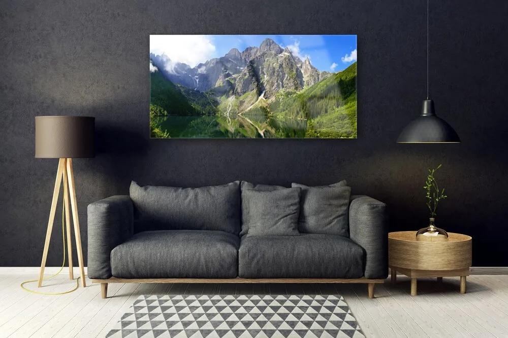 Obraz plexi Tatry hory morské oko les 120x60 cm