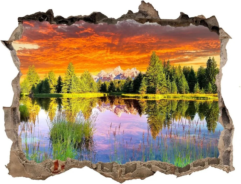 Nálepka fototapeta 3D výhled Řeka v lese WallHole-95x64-kamien-89317009