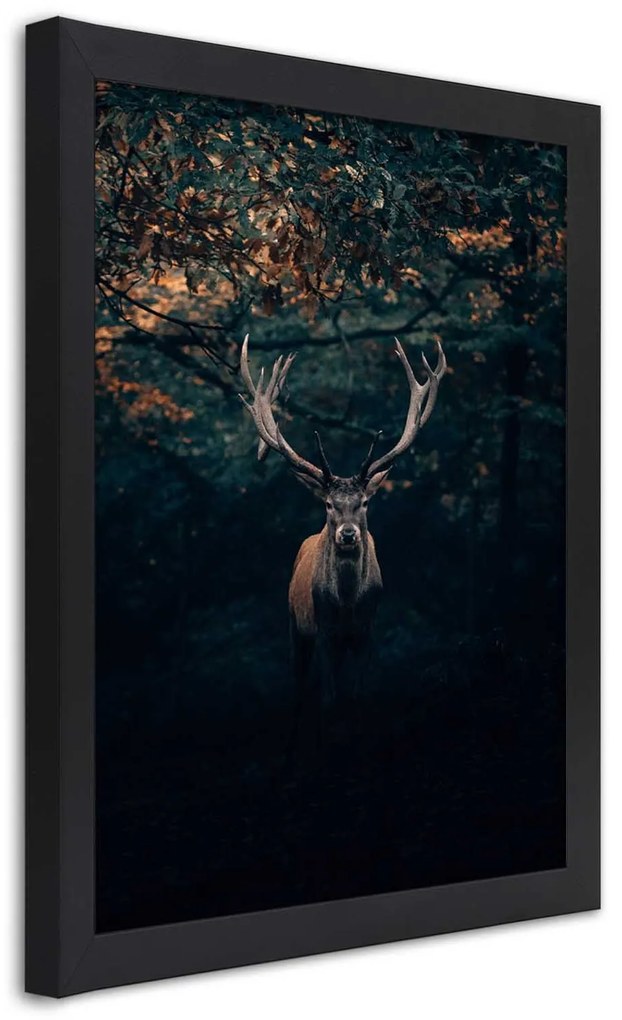 Gario Plagát Jeleň v kríkoch Farba rámu: Bez rámu, Rozmery: 40 x 60 cm