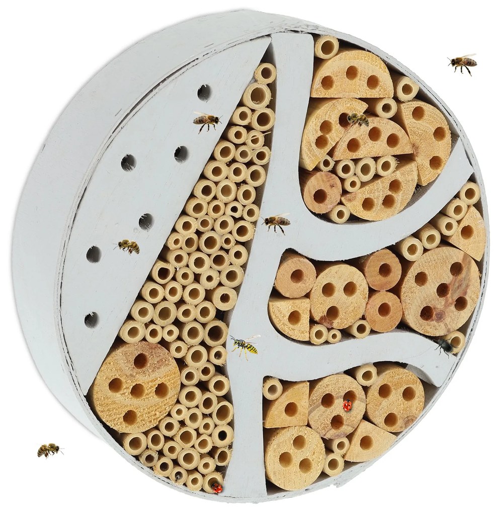 Hmyzí hotel, RD37626