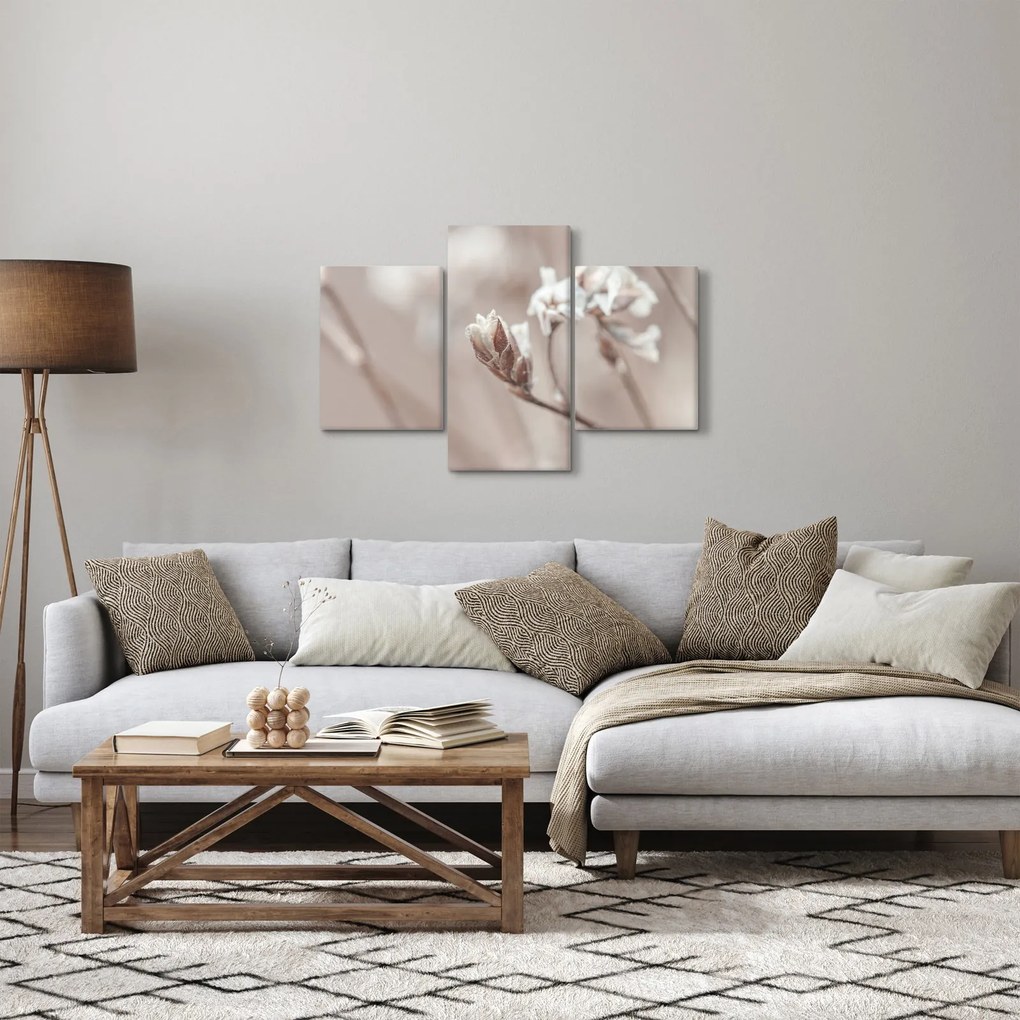 Obraz - Detail vetvy (90x60 cm)