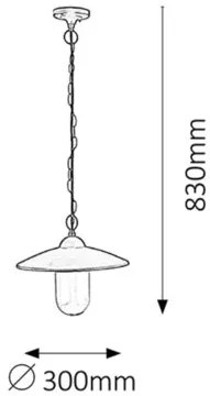 Rabalux závesné exteriérové svietidlo Vigo 8687