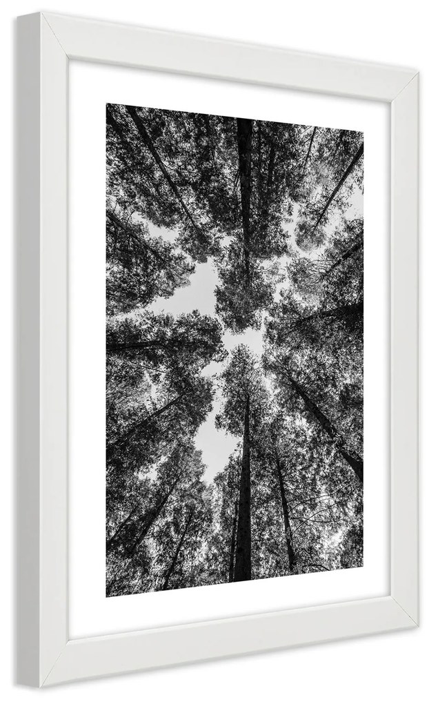Gario Plagát Koruny stromov Farba rámu: Bez rámu, Rozmery: 70 x 100 cm